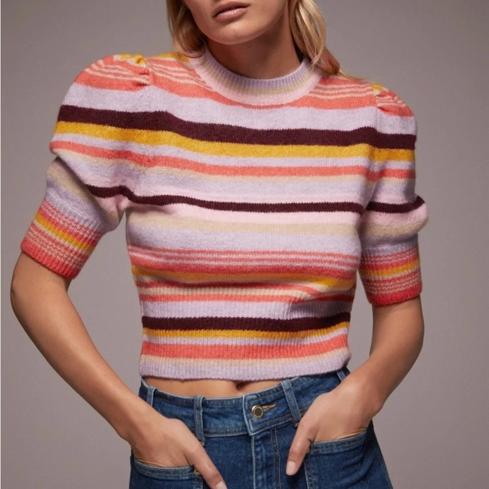 Zara Multicolor Striped Crop Top